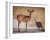 My best friend-Mathilde Guillemot-Framed Photographic Print