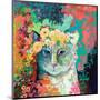 My Cat Naps in a Bed of Roses-Jennifer Lommers-Mounted Art Print