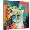 My Cat Naps in a Bed of Roses-Jennifer Lommers-Stretched Canvas