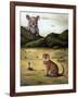 My Cat's Worst Nightmare-Leah Saulnier-Framed Giclee Print