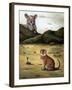 My Cat's Worst Nightmare-Leah Saulnier-Framed Giclee Print