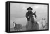 My Cowboy Rides Bareback-Amanda Lee Smith-Framed Stretched Canvas