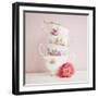 My Cup of Tea-Susannah Tucker-Framed Art Print