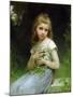 My Daisies-Jules Cyrille Cave-Mounted Giclee Print