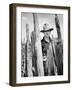 My Darling Clementine, 1946-null-Framed Photographic Print