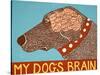 My Dogs Brain Choc-Stephen Huneck-Stretched Canvas