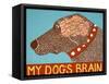 My Dogs Brain Choc-Stephen Huneck-Framed Stretched Canvas