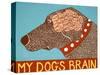 My Dogs Brain Choc-Stephen Huneck-Stretched Canvas