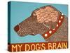 My Dogs Brain Choc-Stephen Huneck-Stretched Canvas