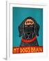 My Dogs Brain Ii Food-Stephen Huneck-Framed Giclee Print