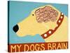 My Dogs Brain Yellow-Stephen Huneck-Stretched Canvas