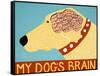 My Dogs Brain Yellow-Stephen Huneck-Framed Stretched Canvas