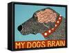 My Dogs Brain-Stephen Huneck-Framed Stretched Canvas