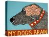 My Dogs Brain-Stephen Huneck-Stretched Canvas