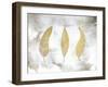 My Dreams 3-Kimberly Allen-Framed Art Print