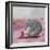 My Elephant Friend-Nancy Tillman-Framed Premium Photographic Print