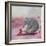 My Elephant Friend-Nancy Tillman-Framed Photographic Print