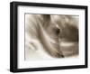 My Eyes Adored You-Barry Hart-Framed Art Print