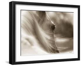 My Eyes Adored You-Barry Hart-Framed Art Print