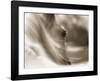 My Eyes Adored You-Barry Hart-Framed Art Print