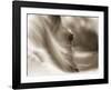 My Eyes Adored You-Barry Hart-Framed Giclee Print