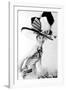 My Fair Lady, Audrey Hepburn, 1964-null-Framed Photo