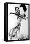 My Fair Lady, Audrey Hepburn, 1964-null-Framed Stretched Canvas