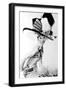 My Fair Lady, Audrey Hepburn, 1964-null-Framed Premium Photographic Print