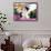 My Fair Lady, Audrey Hepburn, 1964-null-Framed Stretched Canvas displayed on a wall