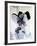 My Fair Lady, Audrey Hepburn, Directed by George Cukor, 1964-null-Framed Photographic Print