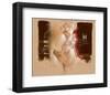 My Faithful Friend-Joadoor-Framed Art Print