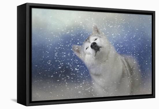 My Favorite Thing About Winter-Jai Johnson-Framed Stretched Canvas