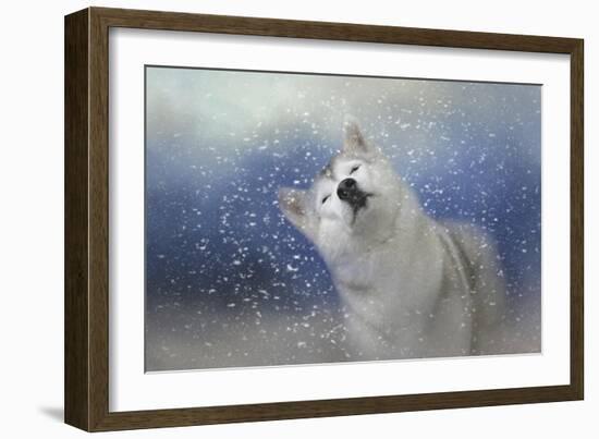 My Favorite Thing About Winter-Jai Johnson-Framed Giclee Print