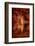 My Favorite Things-Philippe Sainte-Laudy-Framed Photographic Print