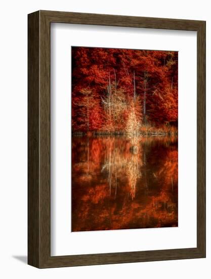 My Favorite Things-Philippe Sainte-Laudy-Framed Photographic Print