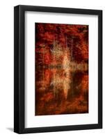 My Favorite Things-Philippe Sainte-Laudy-Framed Photographic Print