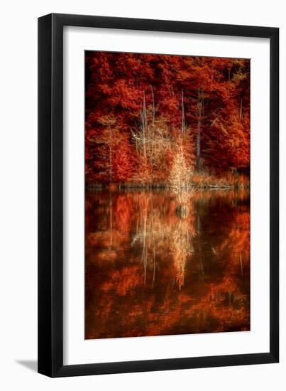 My Favorite Things-Philippe Sainte-Laudy-Framed Premium Photographic Print