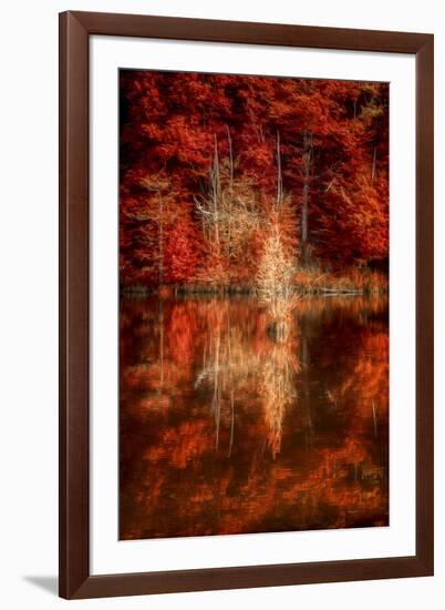 My Favorite Things-Philippe Sainte-Laudy-Framed Photographic Print