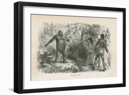 My First Gorilla-null-Framed Giclee Print