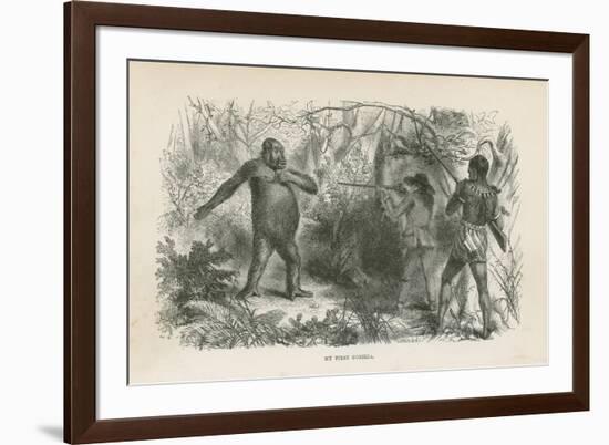 My First Gorilla-null-Framed Giclee Print