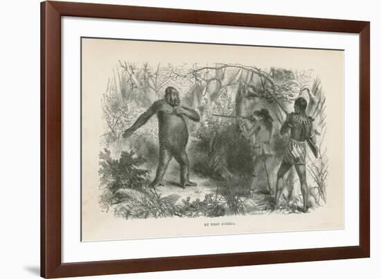 My First Gorilla-null-Framed Giclee Print