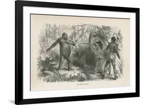 My First Gorilla-null-Framed Giclee Print