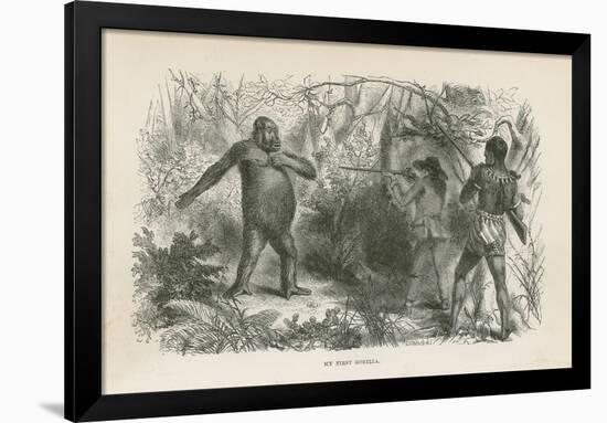 My First Gorilla-null-Framed Giclee Print