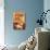 My First Zoo - Lion - Orange-Lantern Press-Mounted Art Print displayed on a wall