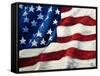 My Flag-Jodi Monahan-Framed Stretched Canvas