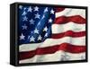 My Flag-Jodi Monahan-Framed Stretched Canvas