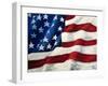 My Flag-Jodi Monahan-Framed Art Print