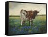 My Flowers I-Kathy Winkler-Framed Stretched Canvas