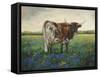 My Flowers I-Kathy Winkler-Framed Stretched Canvas