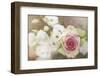 My Friend the Rose-Viviane Fedieu Daniel-Framed Photographic Print